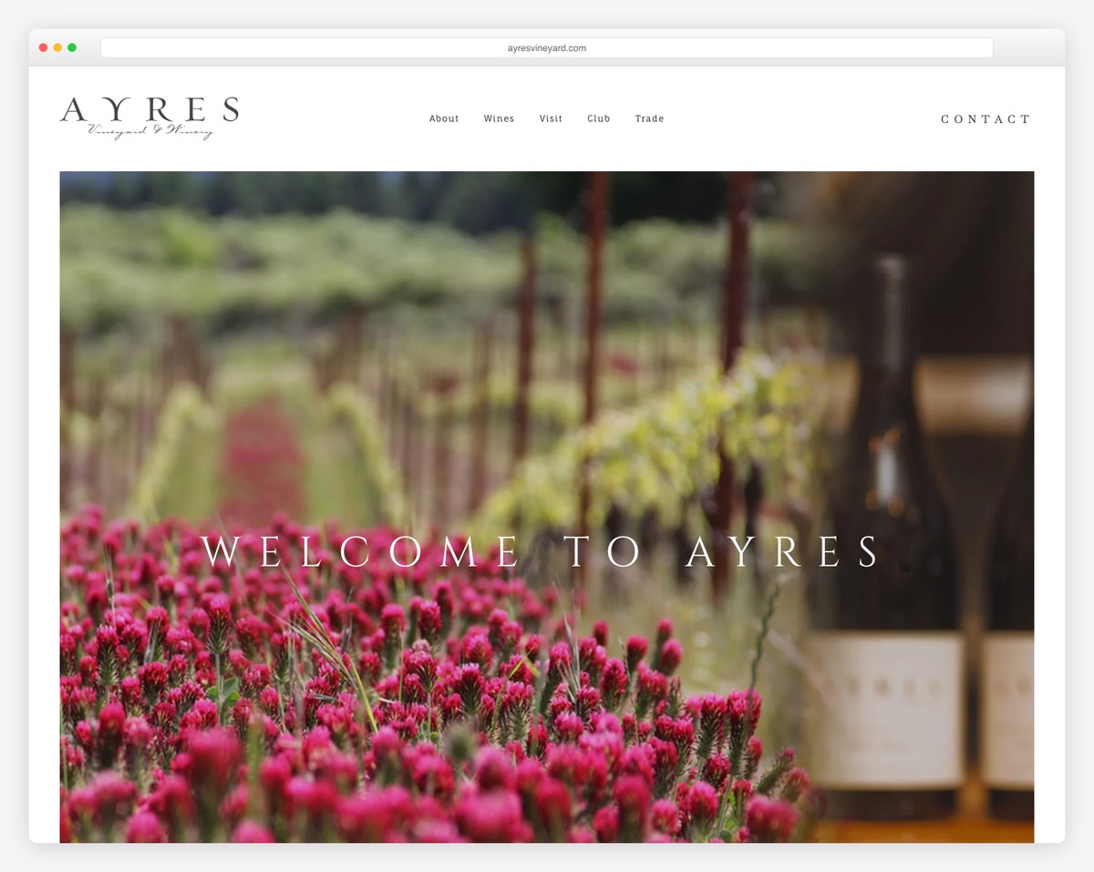 ayres vineyard website example