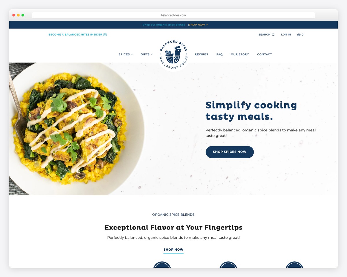balanced bites website example