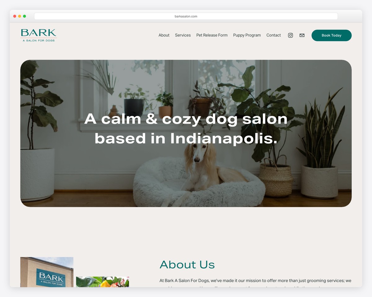 bark a salon grooming website
