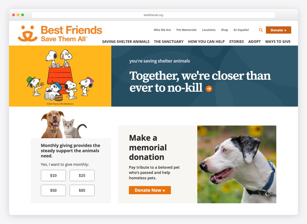 Best Friends Animal Society charity website homepage