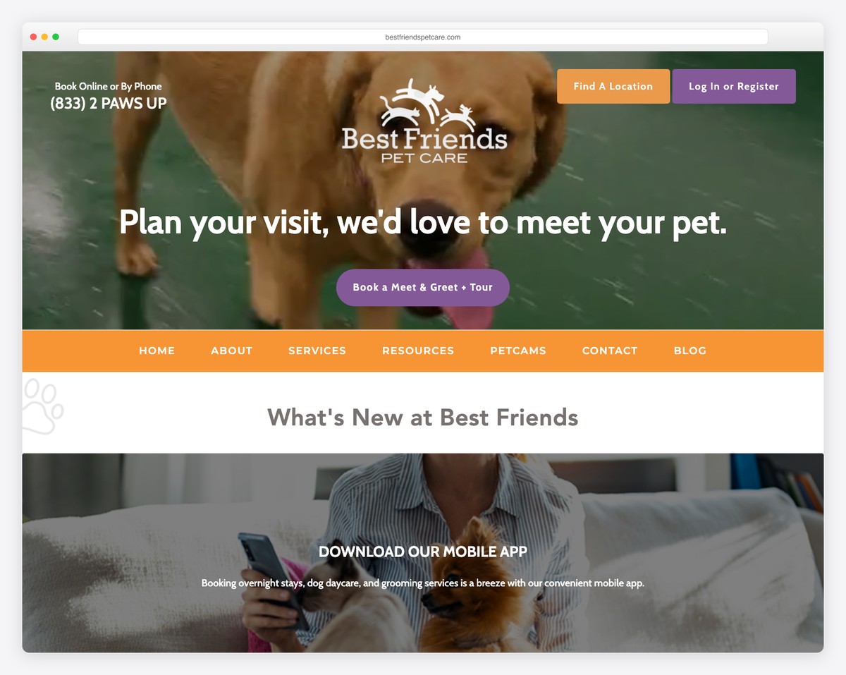 Best Friends Pet Care