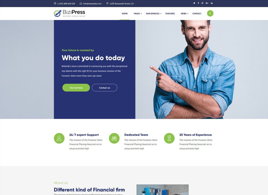 BiziPress | Finance & Insurance WordPress Theme