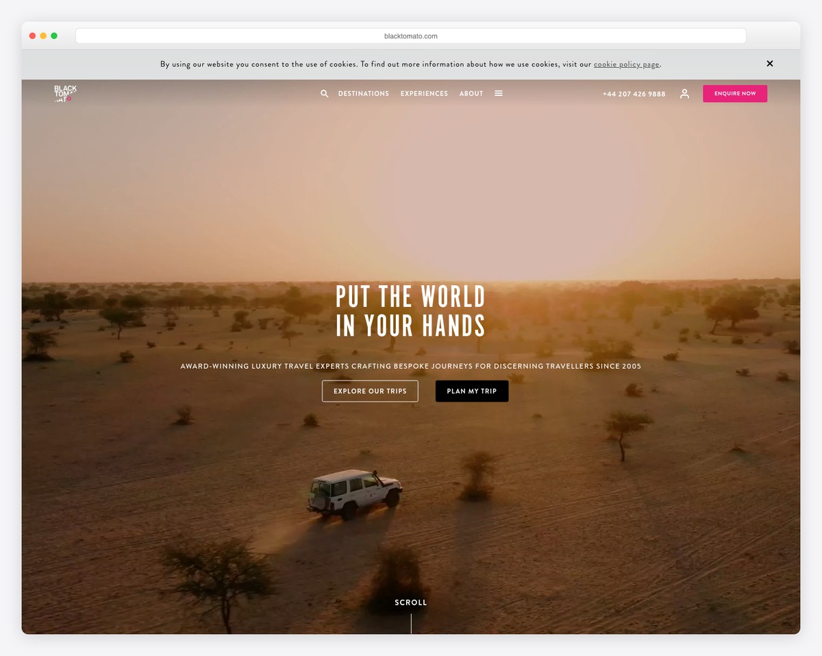 black tomato website example