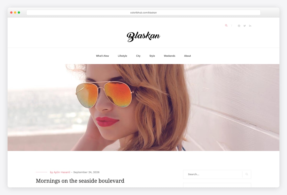 Blaskan minimal lifestyle blog WordPress theme