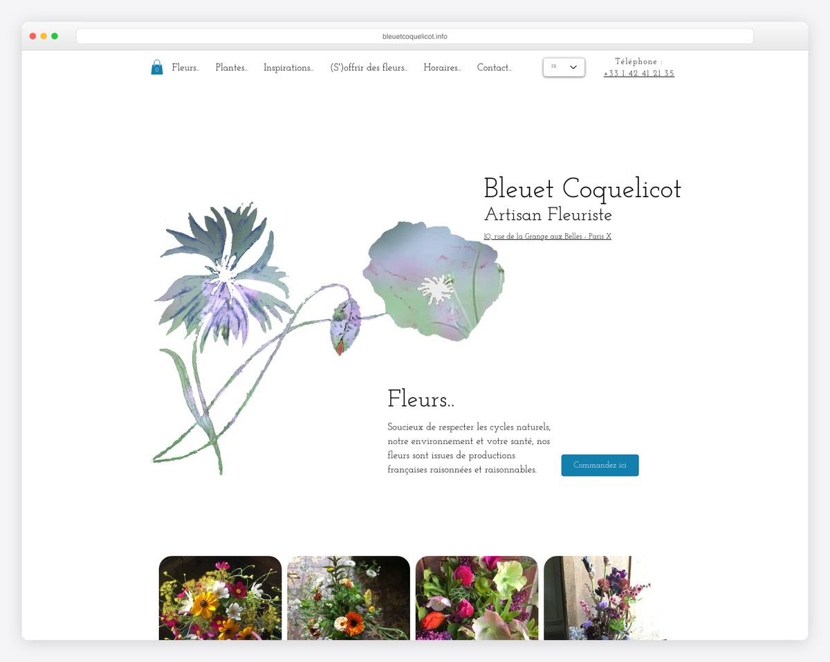 bleuet coquelicot website example