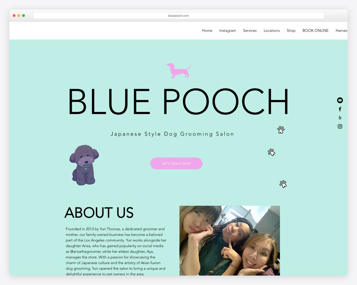 blue pooch asian fusion grooming website