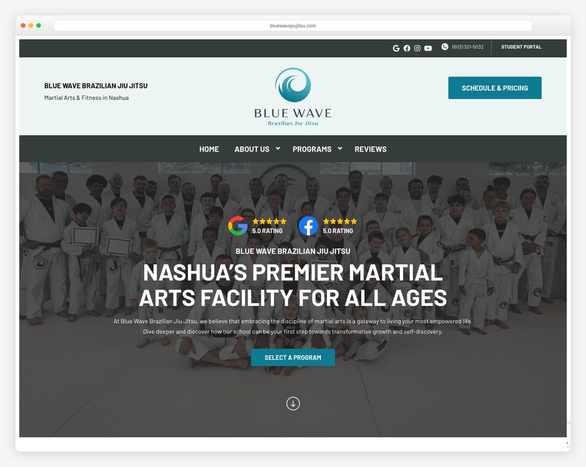 blue wave bjj website