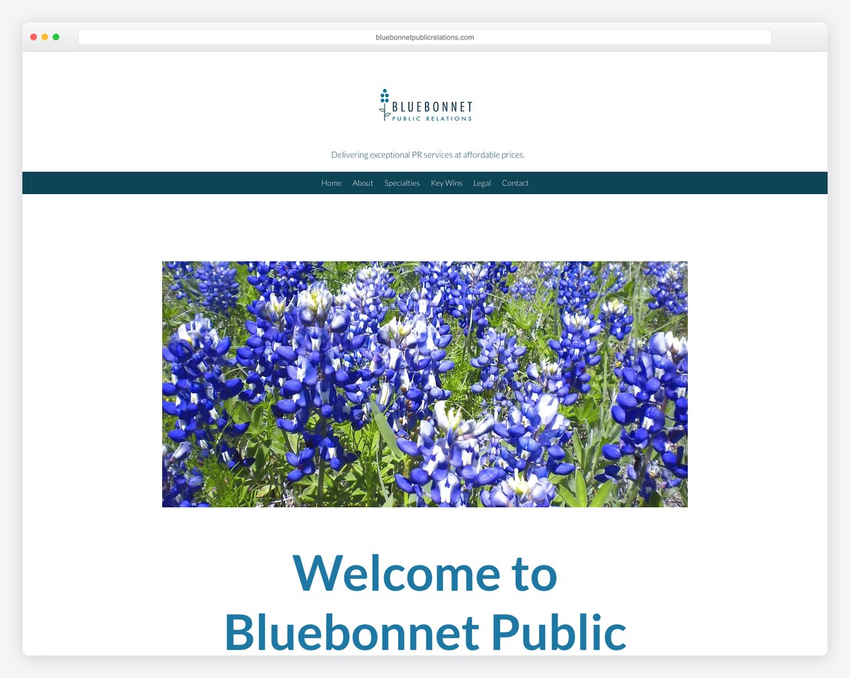 bluebonnet public relations website example