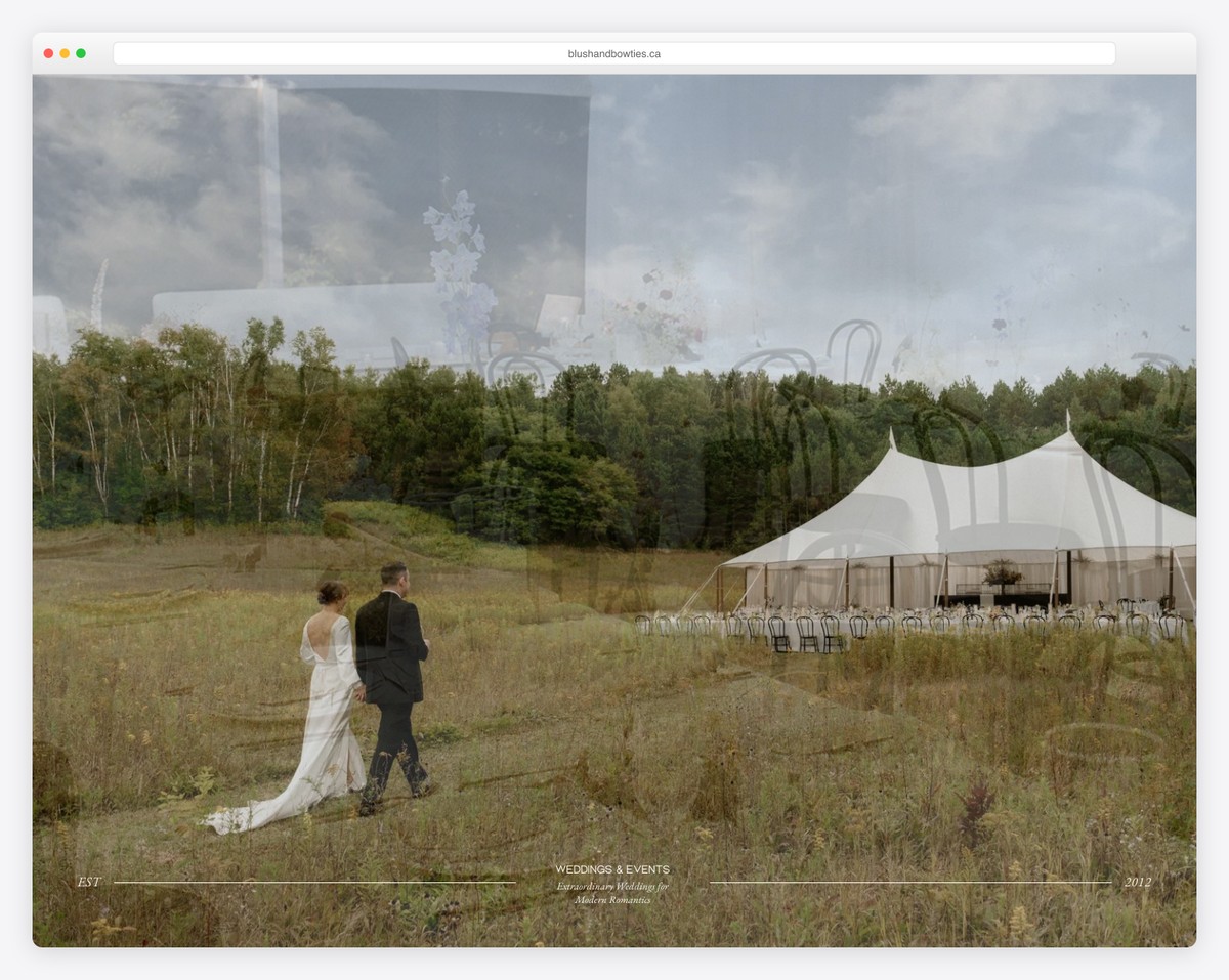 blush bowties wedding website