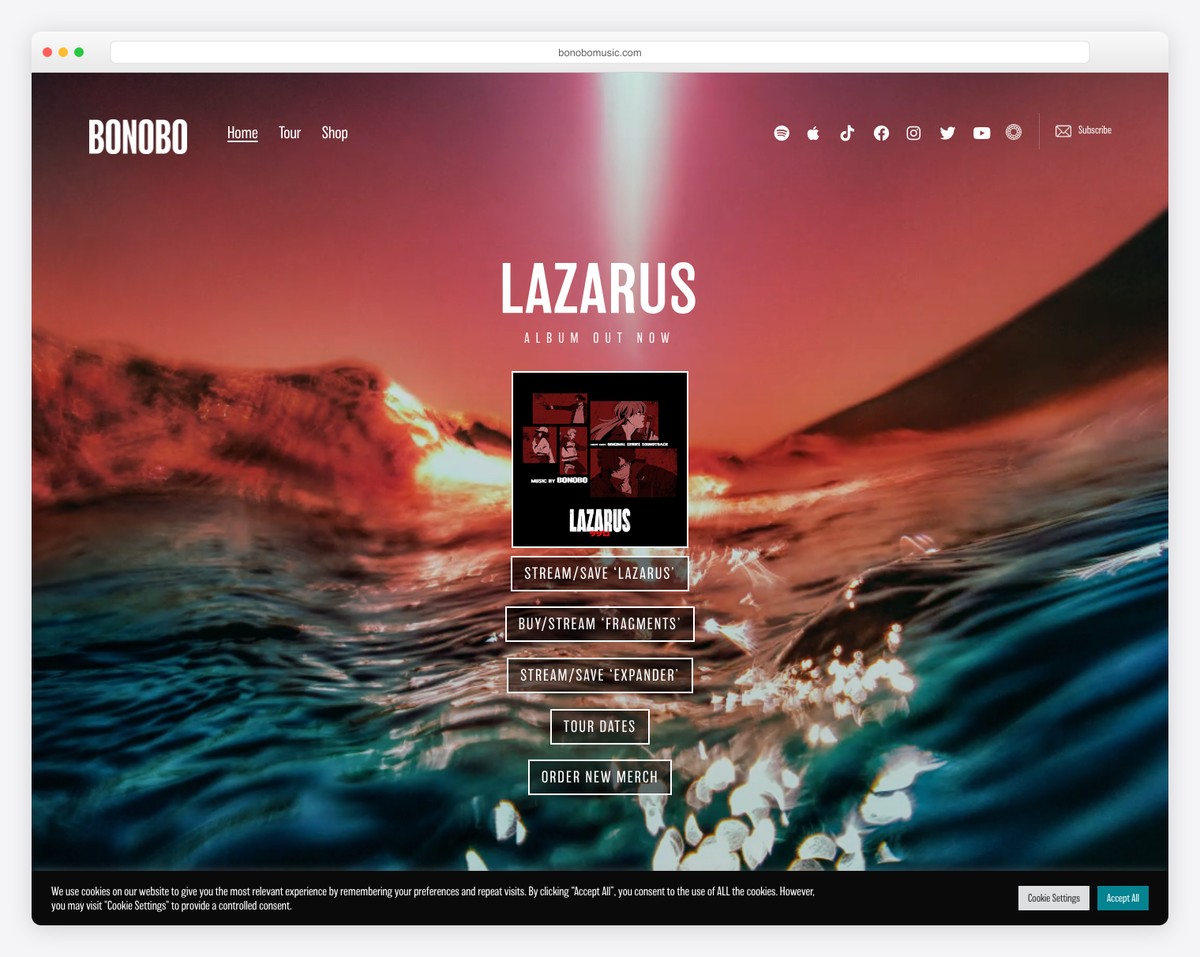 bonobo musician website example