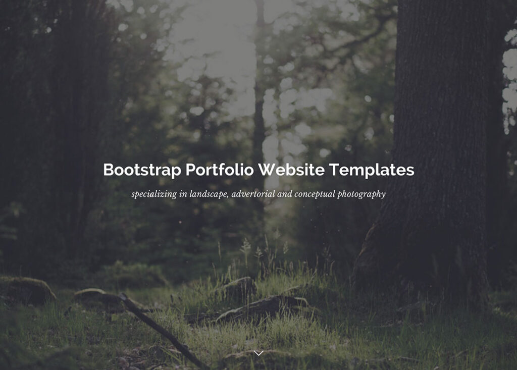 24 Best Bootstrap Portfolio Templates for Creatives 2026 - Colorlib