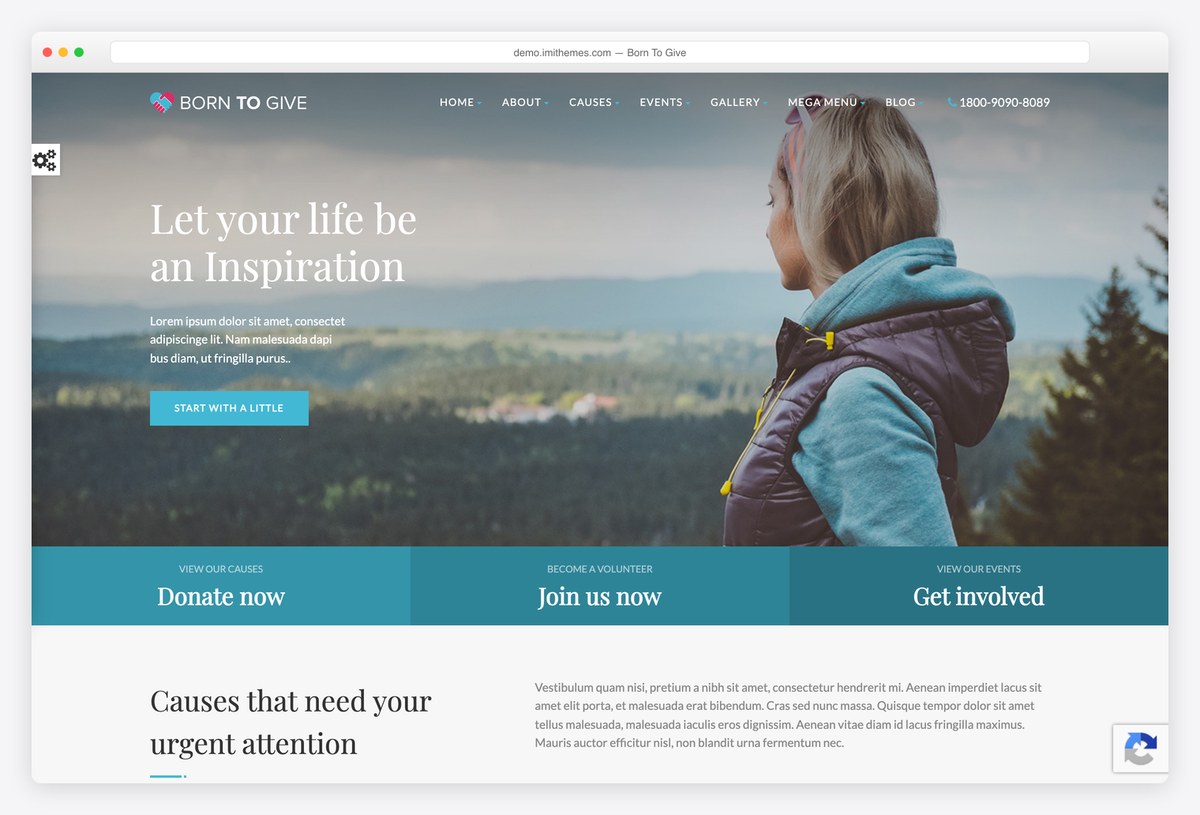 Born To Give charity crowdfunding WordPress theme demo