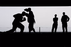 boxing WordPress themes