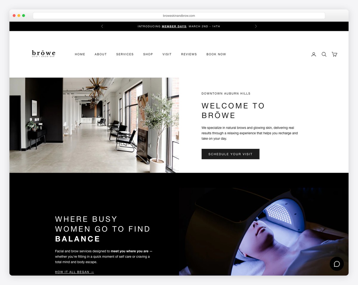 browe skin + brow website example