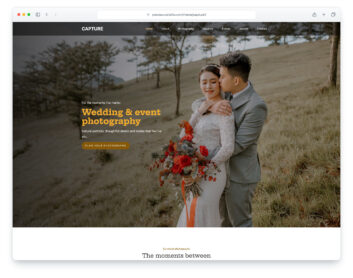 Capture 2 website template