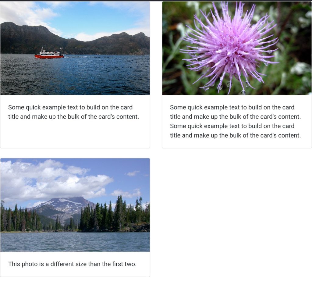 23 Free Bootstrap Cards Examples 2026 - Colorlib