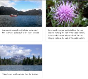 23 Free Bootstrap Cards Examples 2026 - Colorlib