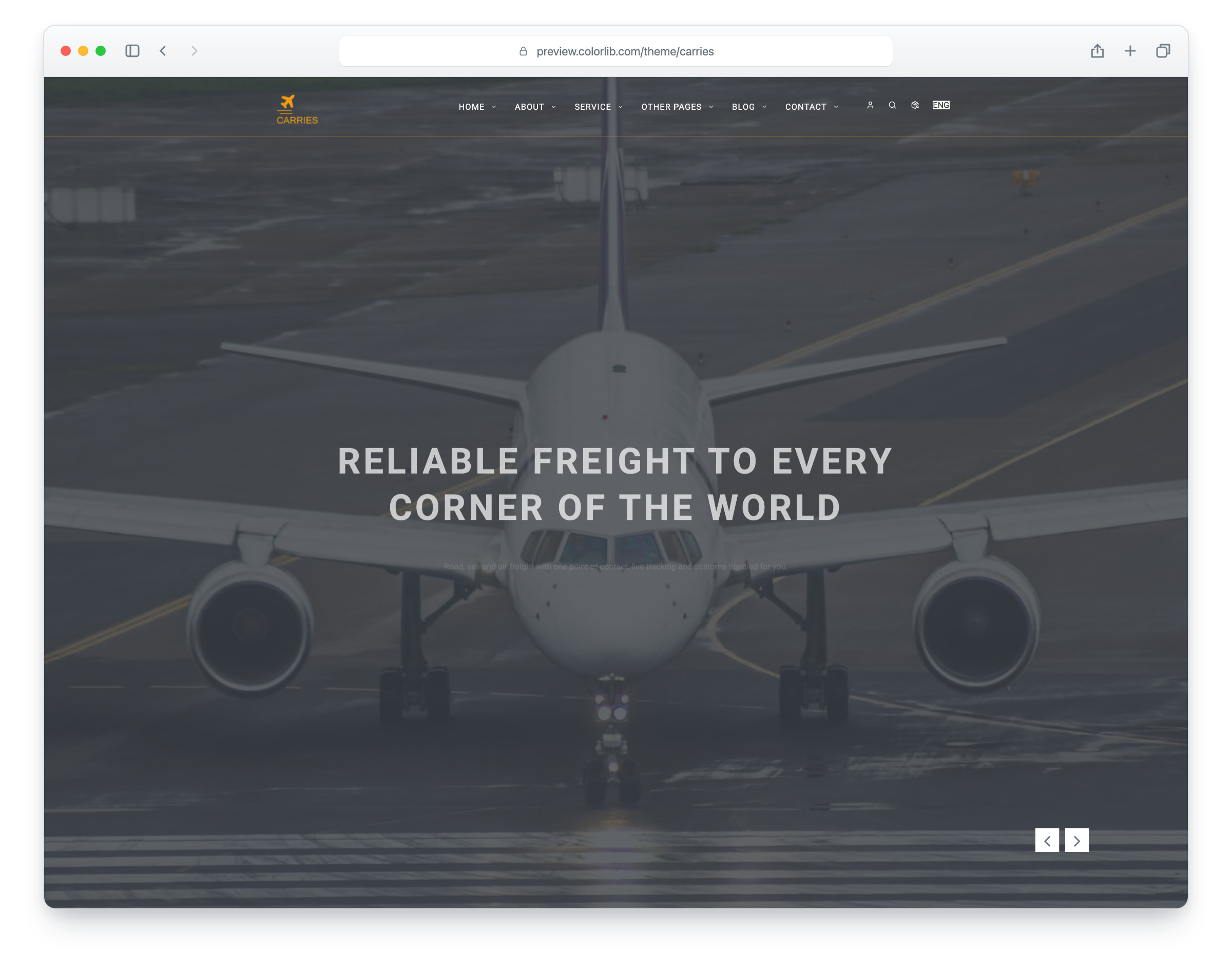 Carries website template