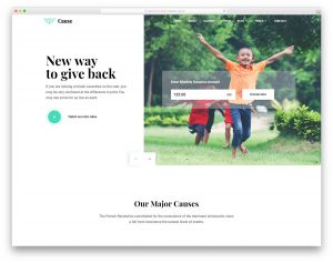 Cause website template
