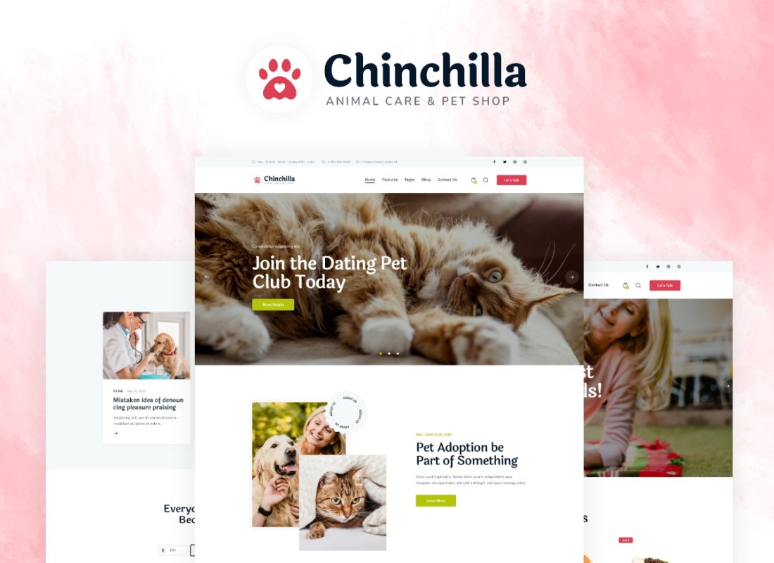 Chinchilla
