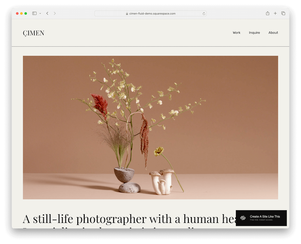 cimen - still life photographer website template 