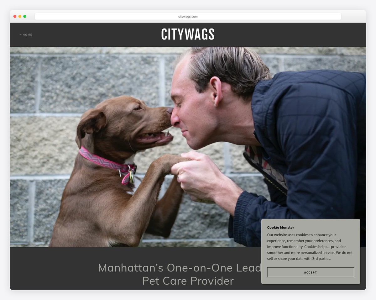 citywags website example