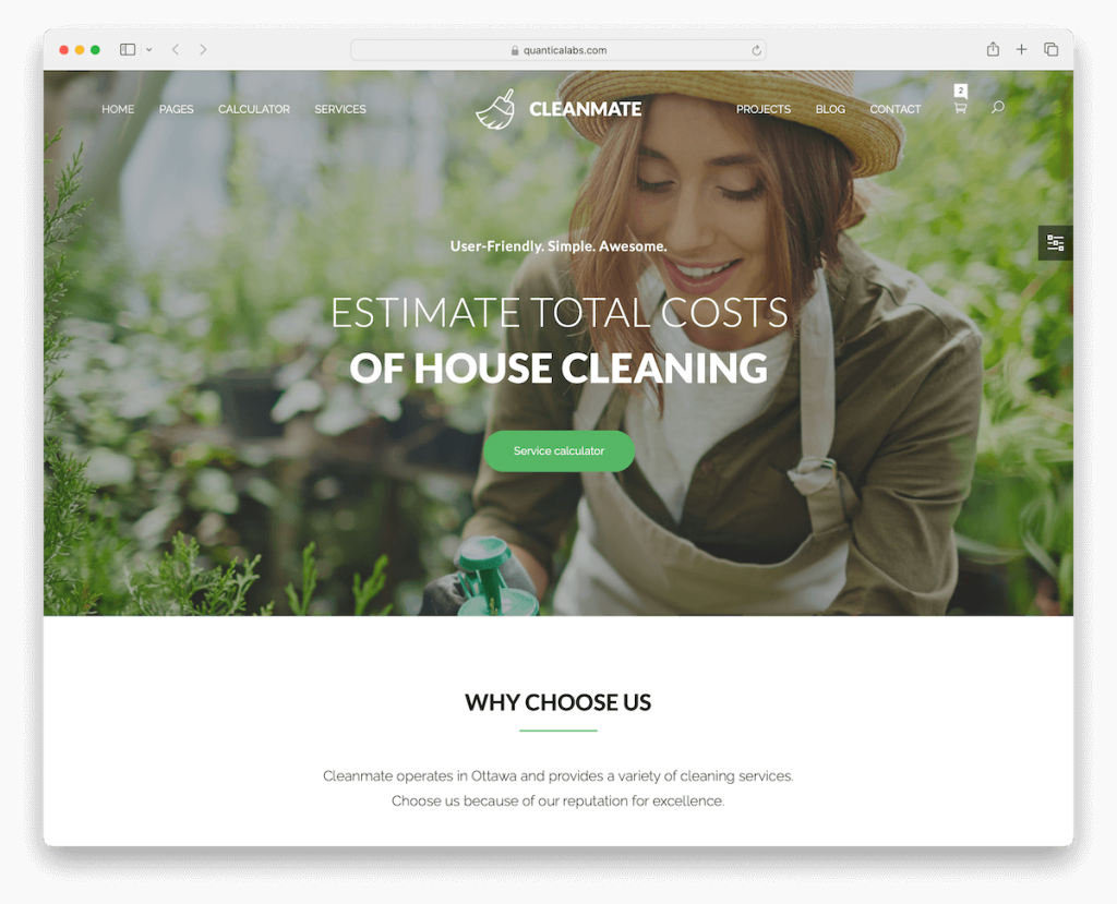 cleanmate handyman website template
