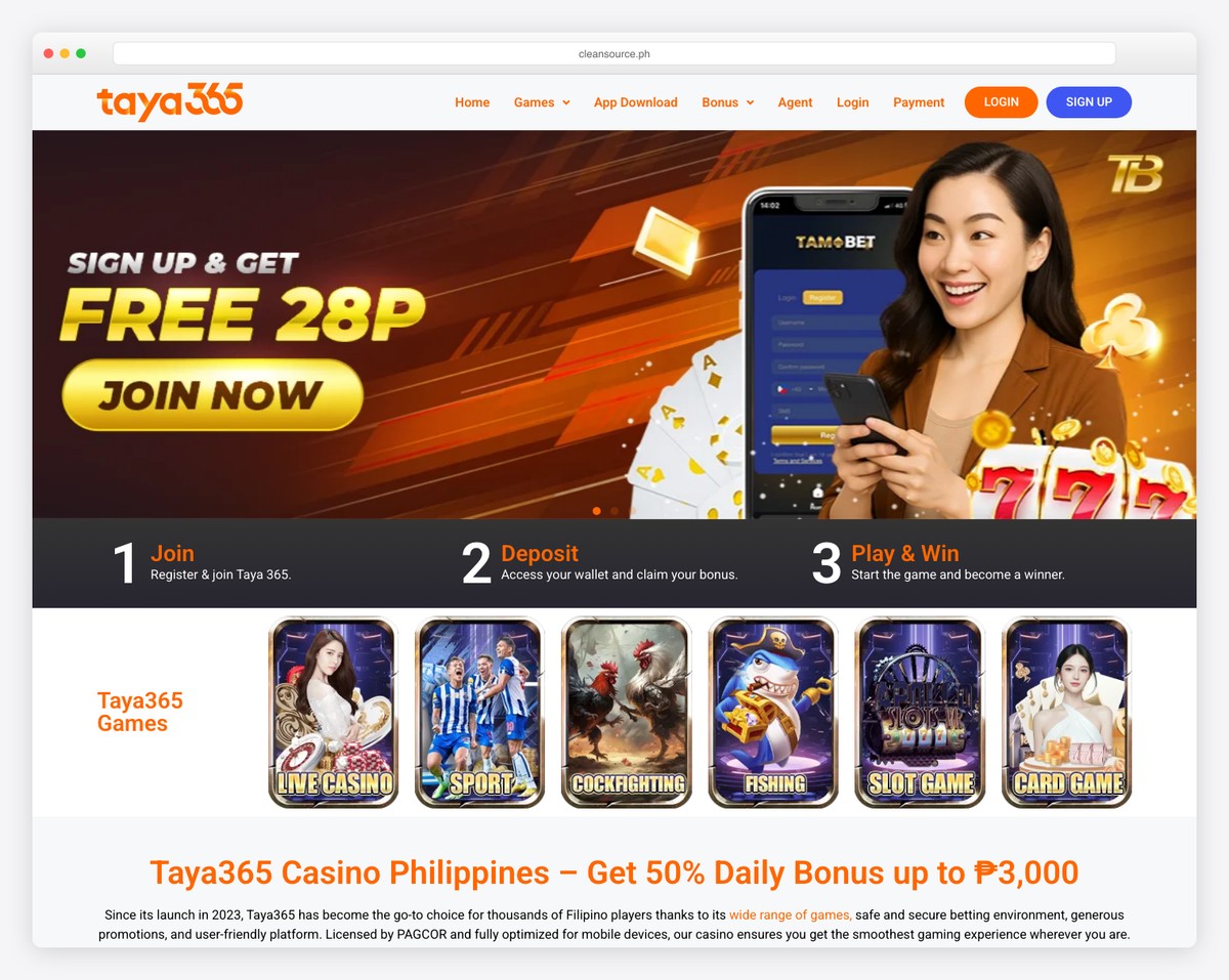 cleansource solutions website example