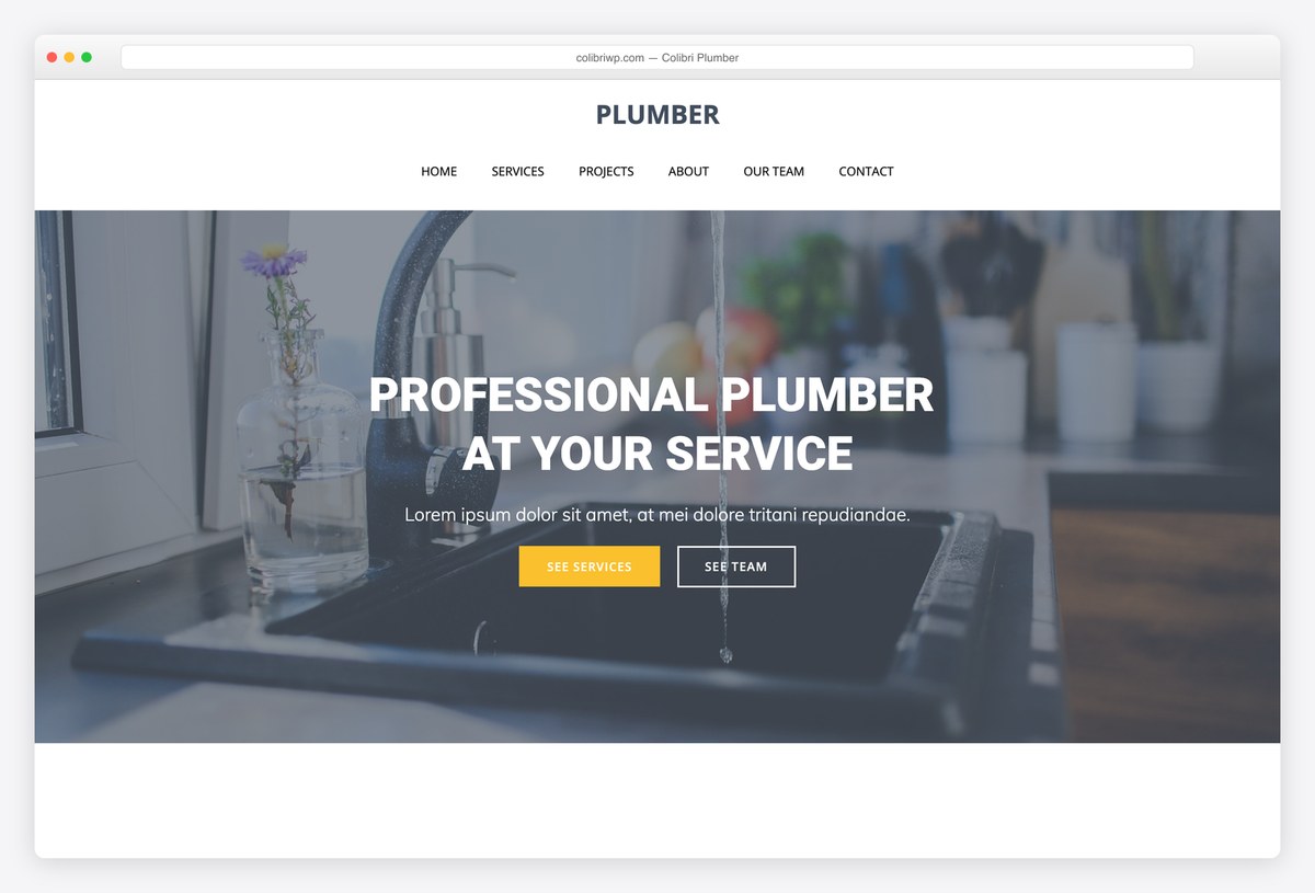 Colibri WP free Plumber starter site