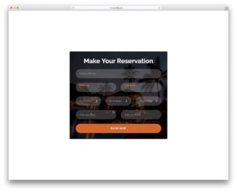 Colorlib Booking Form V8 UI snippet
