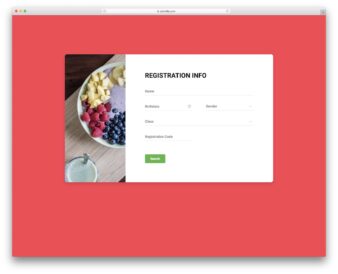 Colorlib Reg Form V2 UI snippet