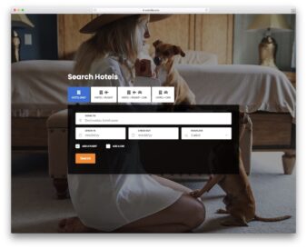 Colorlib Search Form V11 UI snippet