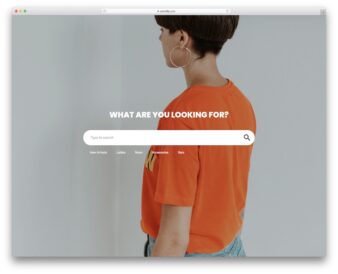 Colorlib Search Form V4 UI snippet