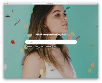Colorlib Search Form V6 UI snippet