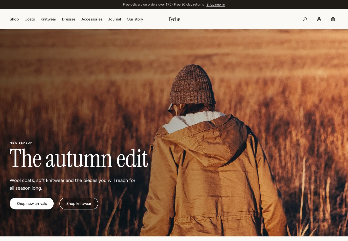 Tyche free WordPress theme live demo