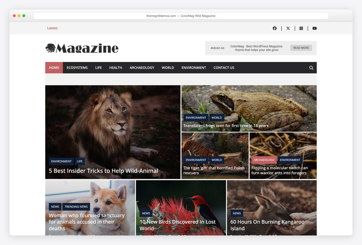 ColorMag Wild Magazine wildlife news demo