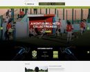 community website templates