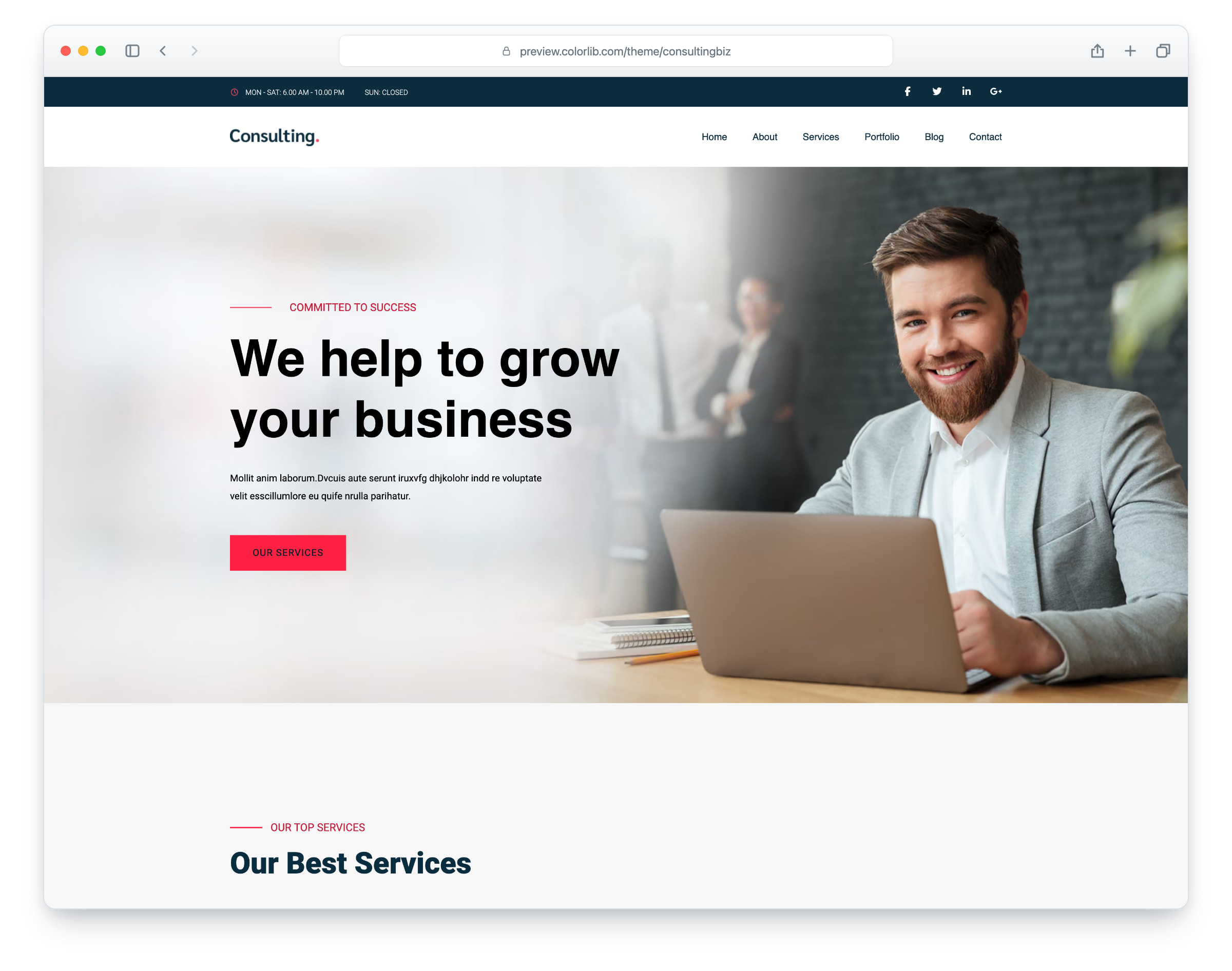 ConsultingBiz website template