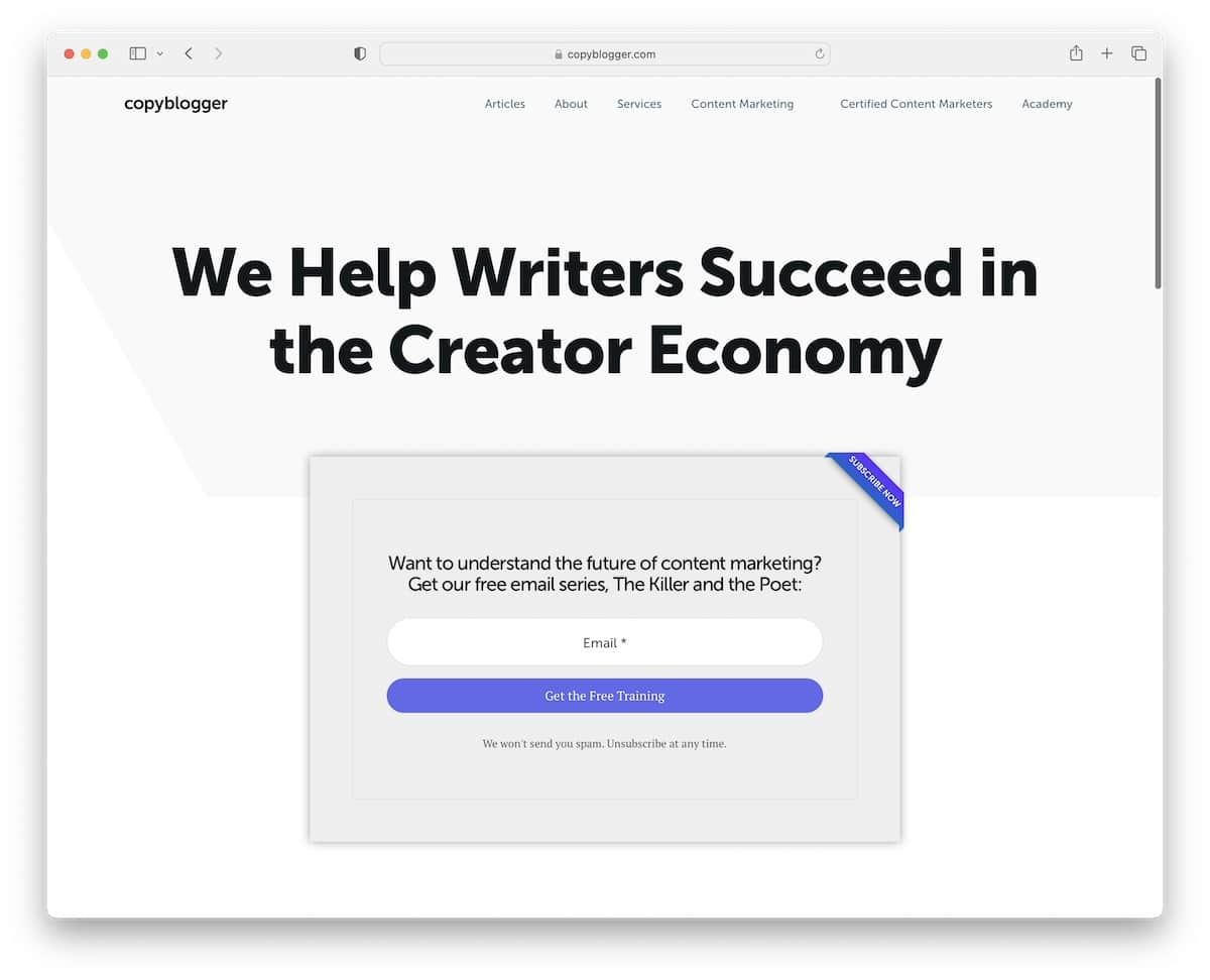 copy blogger copywriter website