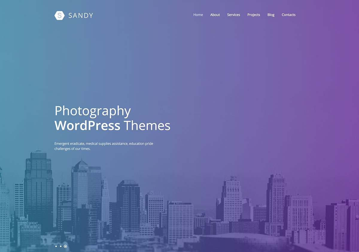 10 Most Creative Photography WordPress Themes to Showcase Your Personality Colorlib