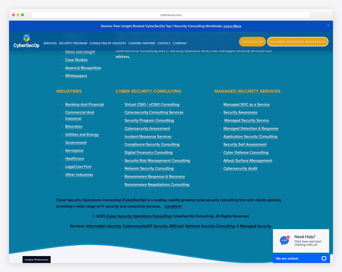 cybersecop website example