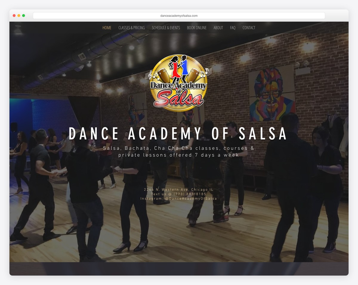 dance academy of salsa website example