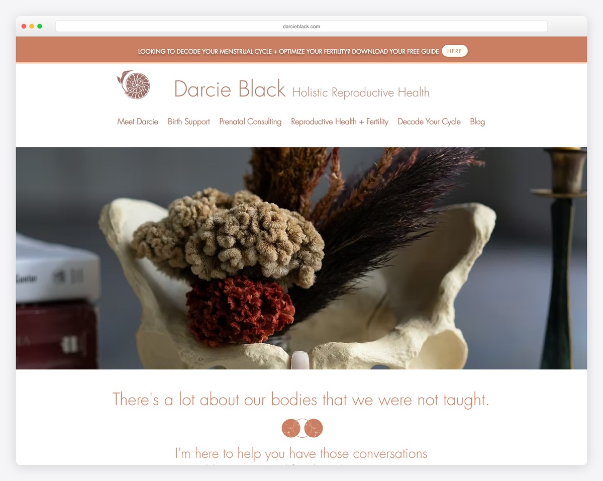 darcie black — sacred seedlings website example
