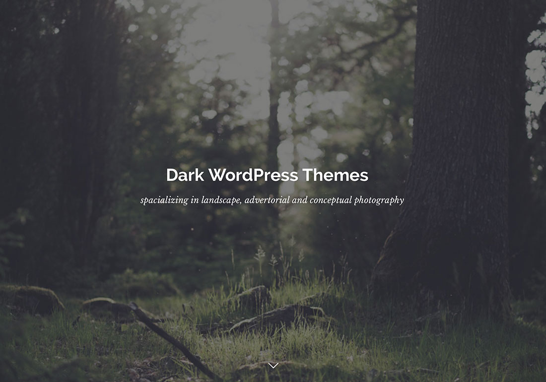 dark WordPress themes