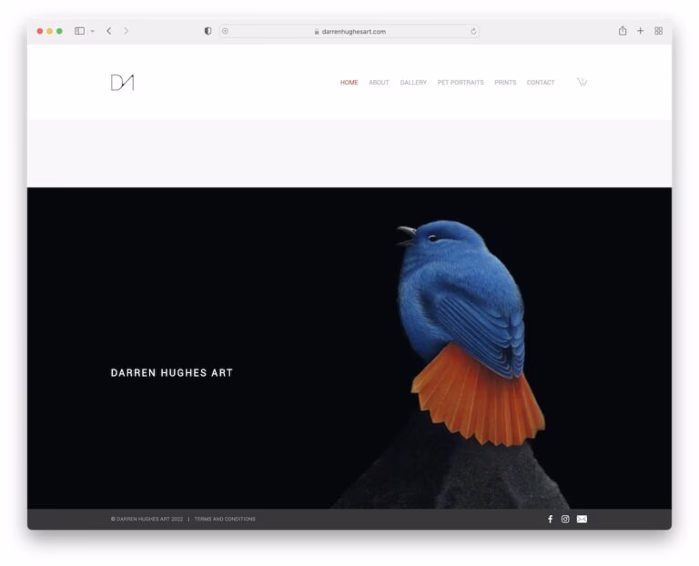 21 Best Artist Portfolio Websites (Examples) 2026 - Colorlib