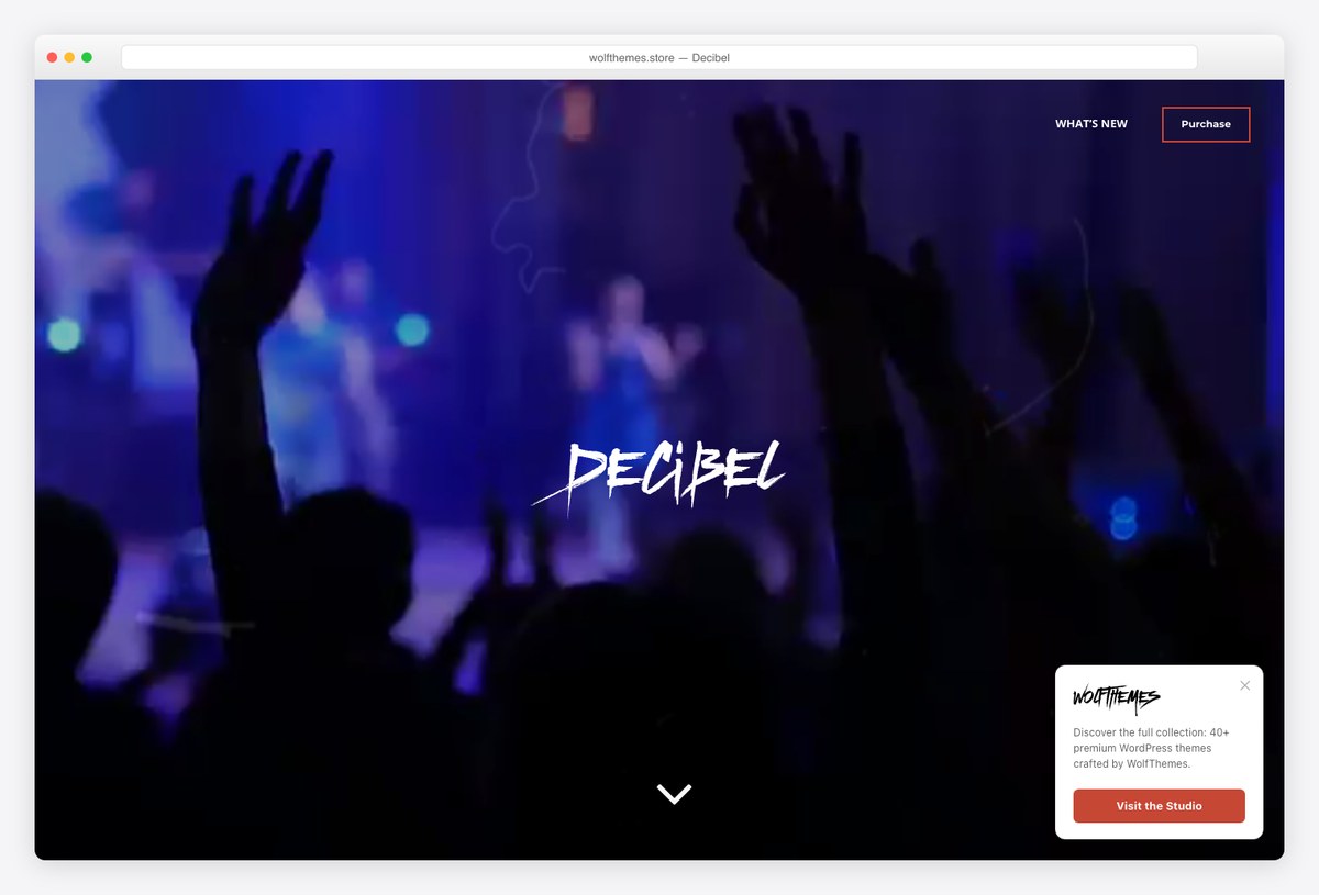 Decibel premium music WordPress theme demo with release pages