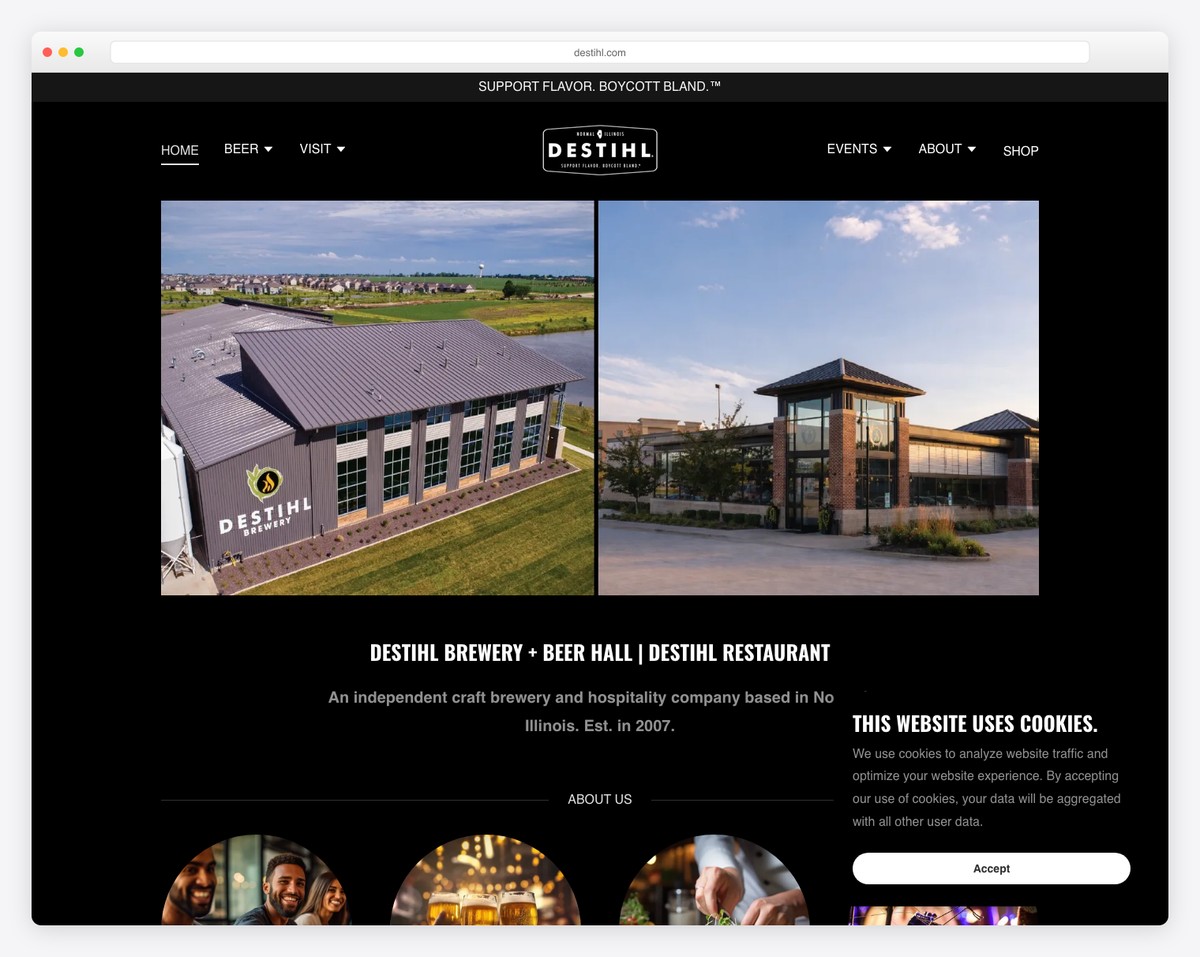 destihl brewery godaddy website example