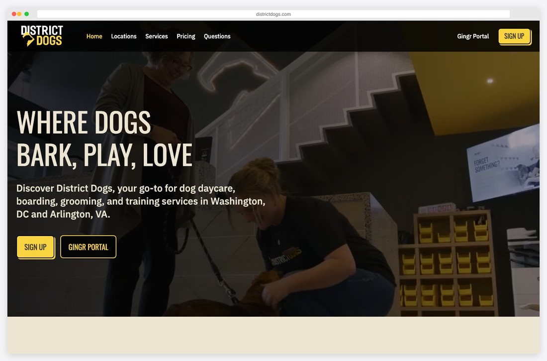 district dogs website example