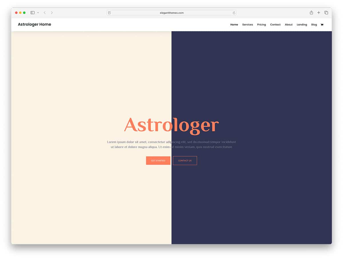Divi - astrologer WordPress theme
