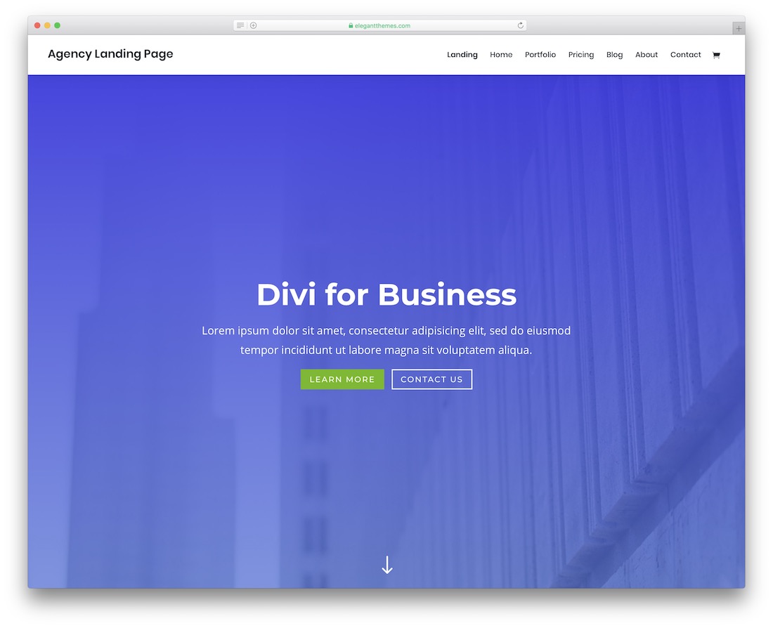 divi business website template